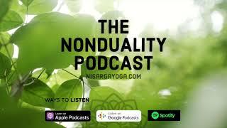 #30 - Part 01- John Astin - The Impossibility of Definition - The Nonduality Podcast