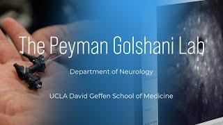 UCLA Neurology Lab Profile: The Peyman Golshani Lab