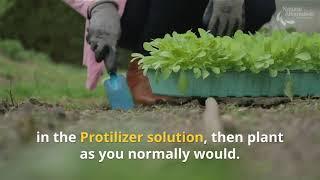 Natural Alternative Protilizer