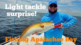 Last cast surprise!  #apalacheebay #redfish #florida #fishing