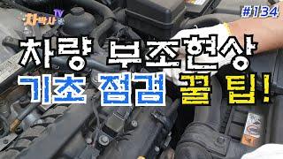 차박사TV_134회 차량 부조현상 기초 점검 꿀 팁! Best tip for basic inspection of vehicle relief!