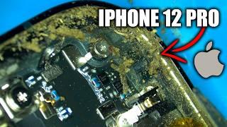 Ремонт (Reboot) iPhone 12 PRO. Внутри грязь и вода + БОНУС