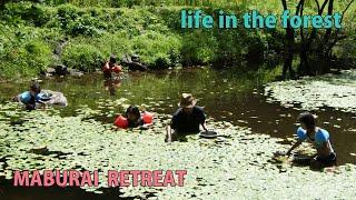 Self-Sufficiency, Rural Japan, Harvesting potatoes, Picking water shield, Catching a boar alive