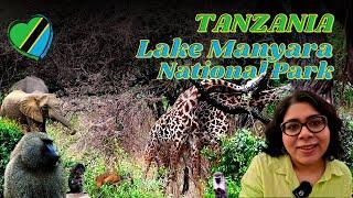  Lake Manyara National Park  Safari Game Drive | Safariland | Pamoja Olea Farm Lodge | Tanzania