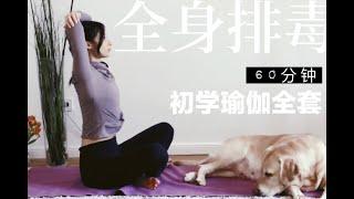 60分钟初学瑜伽，1小时完整初学教程，全身拉伸轻松消脂，提升免疫力，1小时瑜伽全身排毒，零基础友好｜Allison瑜伽，零基础系列