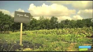 La cueillette des gourmands à Bouaye (44).mov