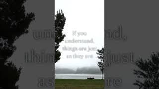 The Art of Understanding: A Buddhist Koan
