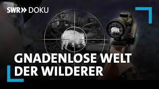 Krieg im Forst. Die gnadenlose Welt der Wilderer | SWR Doku