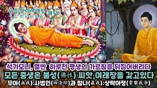 궁을반야여래장 1강:석가모니,평생의 가르침들을 뒤집다!/모든 중생은 불성(佛性)씨앗,상락아정의 여래장이 있다/무아에서 유아로/열반경