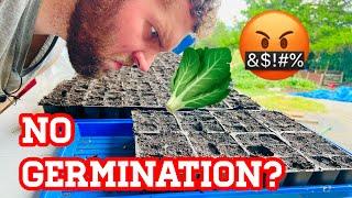 How To Get 99% of Your Seeds to Germinate