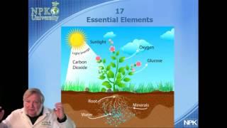 NPK-University Plant Essential Elements With Harley Smith