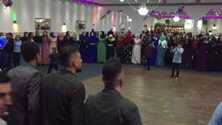 Serif Hezexi Kemence Raks Kurdische Hochzeit dawet Koma Tore