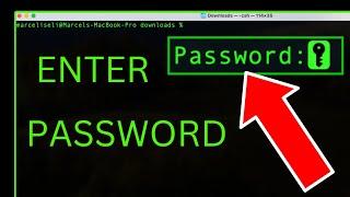 How to Enter the Password in the Terminal on Mac