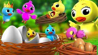 लालची छोटी जादुई  चिड़िया - Greedy Magical Bird Story in Hindi | 3D Animated Hindi Kahani JOJO TV