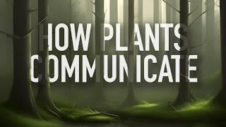 Do Plants Talk to One Another? (How do Plants Communicate?)