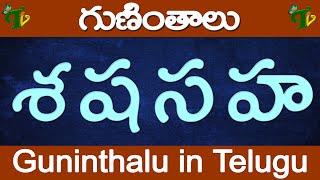 శ ష స హ గుణింతాలు | Se Sha Sa Ha guninthalu | How to write Telugu guninthalu @TeluguVanam ​