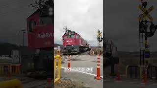 느림보 열차가 지나갑니다 #디젤기관차 #무궁화호 #railway