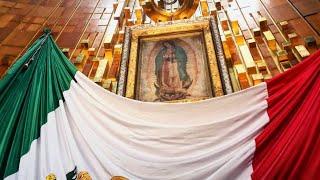 Las diversas apariciones de la Virgen María.