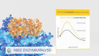 XBEE-Enzymkatalyse im Kraftstoff