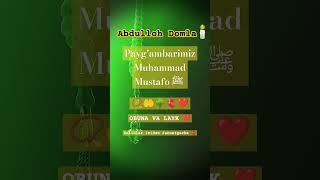 Abdulloh Domla 🫀️ - Muhammad Mustafo ﷺ #abdullohdomlamaruzalari #abdulloh