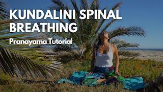 15 MIN Guided Breathwork To FEEL ALIVE | Kundalini Spinal Breathing