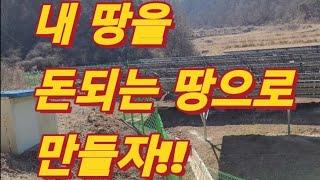 내땅을 돈 되는 땅으로 만들자!!/How to make my land a profitable land(농사의신)