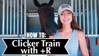 HOW TO CLICKER TRAIN WITH +R // for horses(: