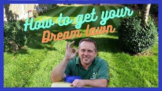 How to get a dream lawn (and lawn update)