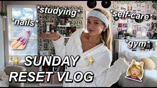 my SUNDAY reset vlog