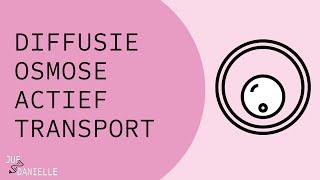 Transport: diffusie, osmose, actief transport