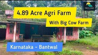 4.89 Acre Agri Farm With Big Cow Farm For Sale | Bantwal | Mangalore | Karnataka