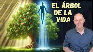 El Misterio del Árbol que da VIDA ETERNA⏳ en la Biblia!