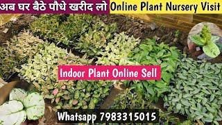 ऑनलाइन घर बैठे पौधे खरीदीयेOnline Plant Nursery VisitTulip Organic Nursery Visit