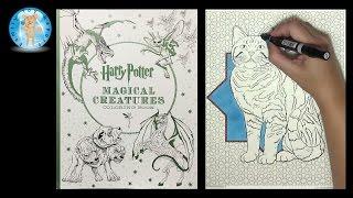 Harry Potter Magical Creatures Coloring Book Speed Color - Family Toy Report