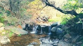 Most beautifull place in Haripur hazara | Uchara forest | jungle hiking