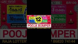 POOJA BUMPER BR100 4-12-2024 #poojabumper #bumper #keralalottery #kerala #kl #TN #tamilnadu