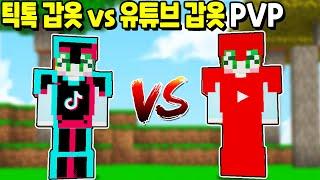 「틱톡 갑옷 vs 유튜브 갑옷」 여러분들의 선택은 무엇인가요?  [마인크래프트]