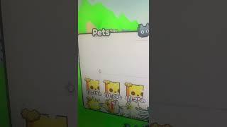 How to get Hige KitSune fox free to play Pets Go #shorts #petsimulator #petsgo