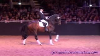 EquitanaHengstschau2013_Demirel