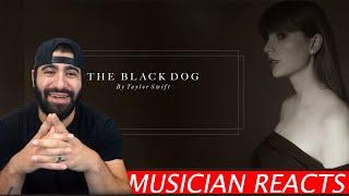 The Black Dog - Taylor Swift - Musician's Reaction