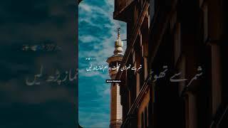 Karbala Ka Dard | Maulana Tariq Jameel | WhatsApp Status | Noman BanGash | #status #tariqjameel #mtj