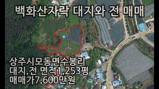 (231205-1)상주시 모동면 수봉리.백화산 자락 대지와 전 매매. 계획관리지역 보전관리지역 혼재.면적  1,253평 매매가 7,600만원.