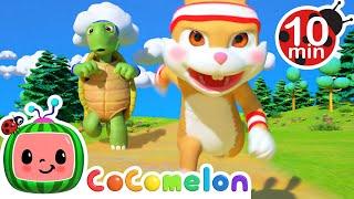 [ 10 MIN LOOP ] The Tortoise and The Hare! | Animal Cocomelon Loops | Nursery Rhymes & Kids Songs