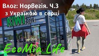 Влог: Норвегія. Супермаркет. Барбекю. Частина 4/червень 4/ EcoMia Life