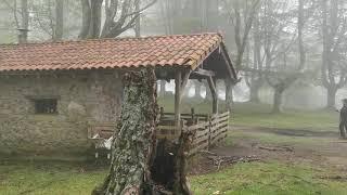 Oianleku. Borda y cromlechs. Parque natural de Aiako Harria.