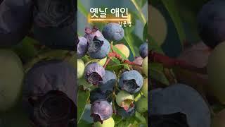 #옛날 애인.#2.#강문경.#현역가왕2 .