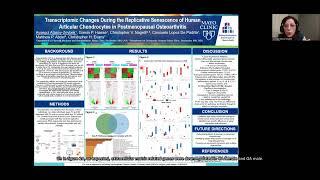 Transcriptomic Changes During the Replicative Senescence of Human Articular Chondrocytes