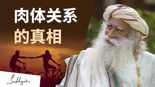 肉体关系的真相 | Sadhguru 萨古鲁