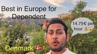 Nepal to Denmark visa guide 2024 | intake | Ielts | university | job | income | post study visa