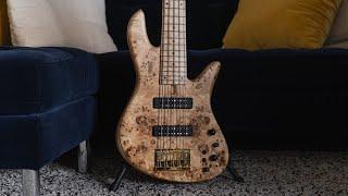 LIVE: SlapStore Limited Fodera Poplar Burl 2023